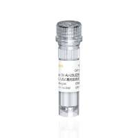 Human DiI-Ac-LDL DiI标记人源乙酰化低密度脂蛋白(DiI标记红色荧光)