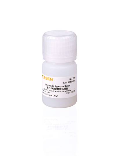 蛋白G琼脂糖纯化树脂(rProtein G Agarose Resin)产品图