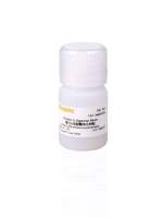 蛋白G琼脂糖纯化树脂(rProtein G Agarose Resin)