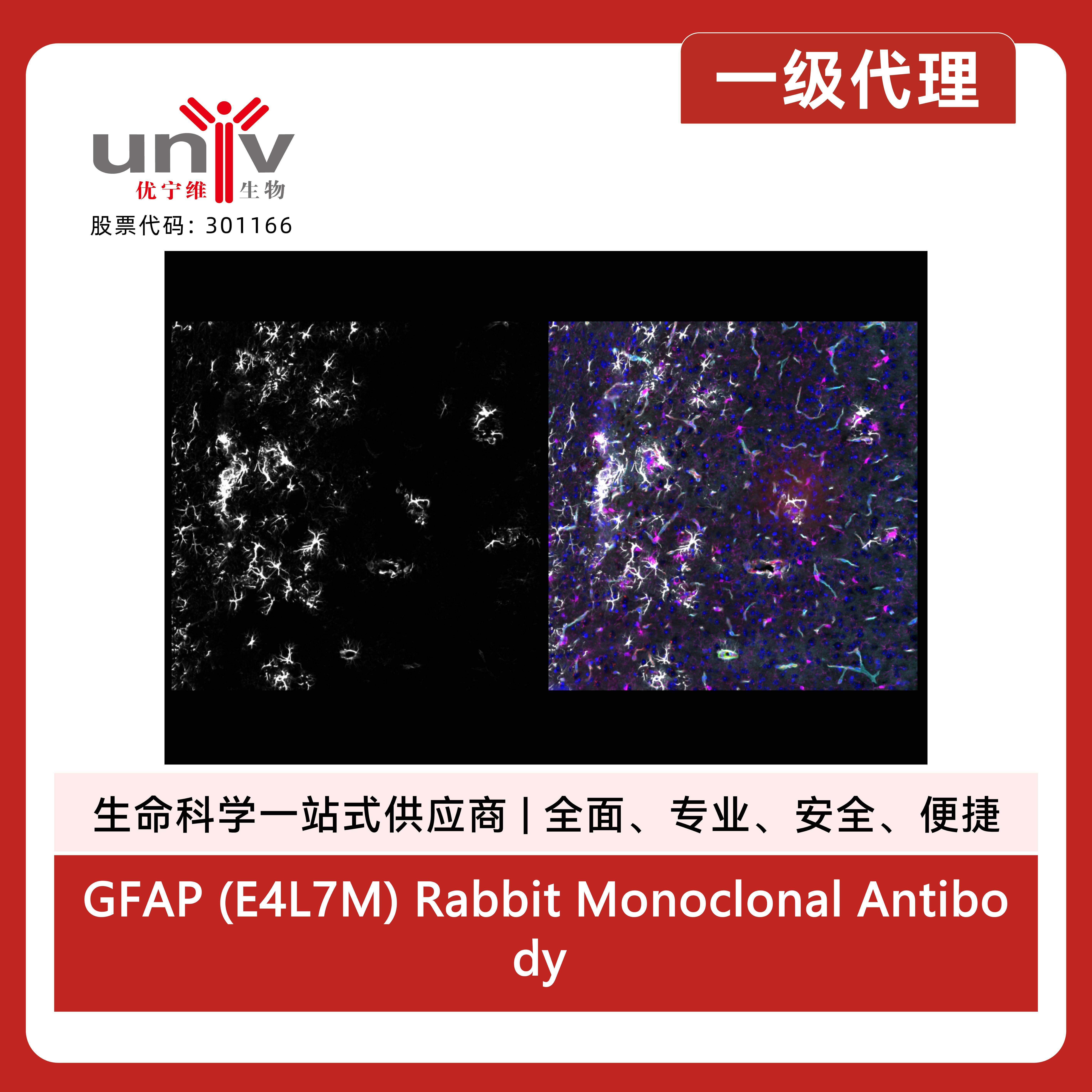 产品细节图片3