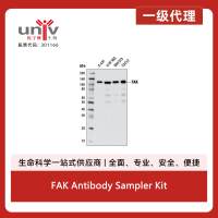 FAK Antibody Sampler Kit