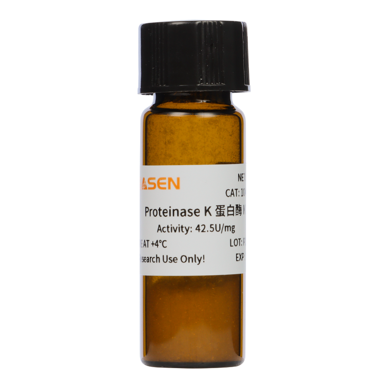 蛋白酶K冻干粉 Proteinase K Powder(RNase-Free,DNase-Free) 丝氨酸蛋白酶
