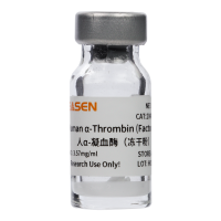 人α-凝血酶(冻干粉) Human α-Thrombin (Factor IIa)