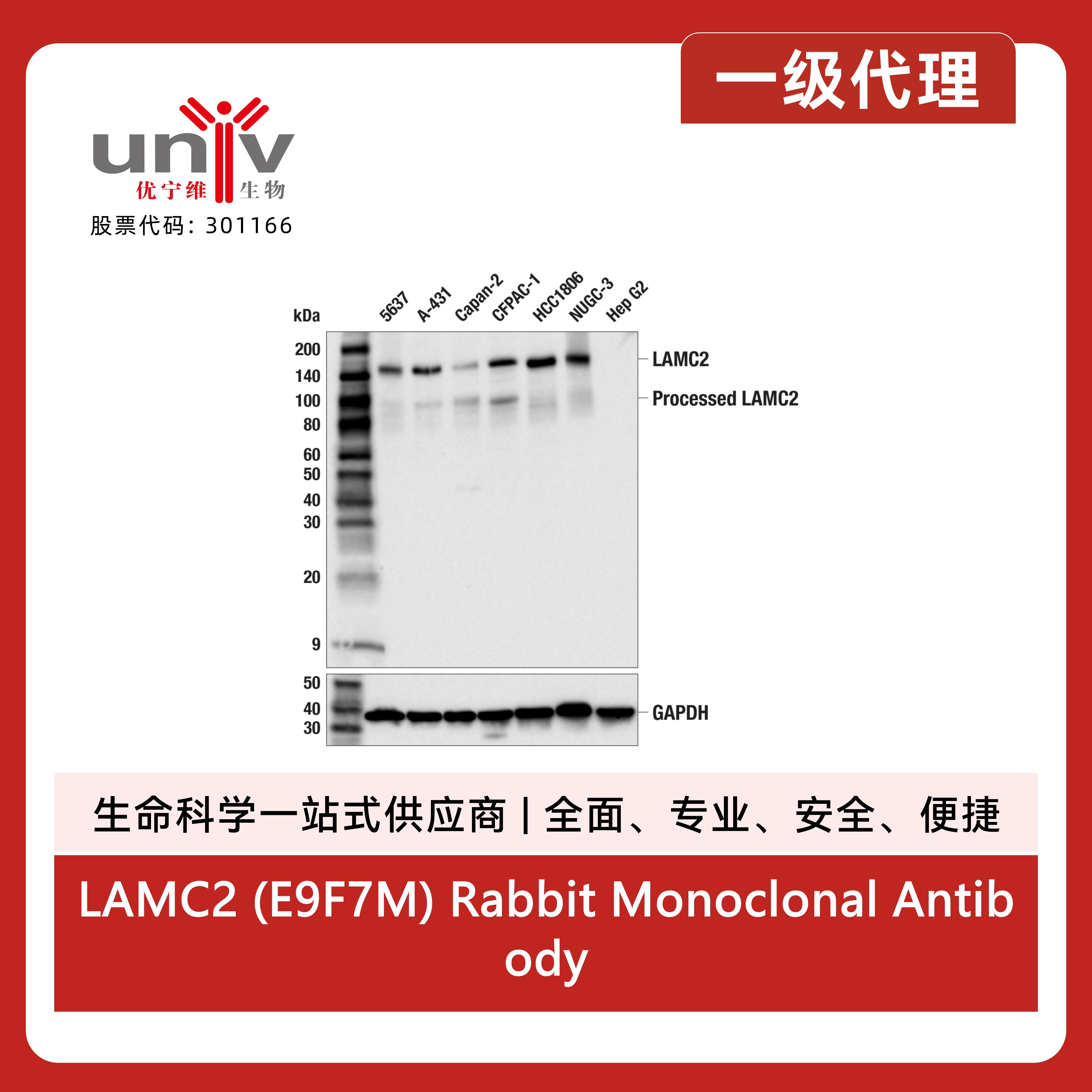 产品细节图片1