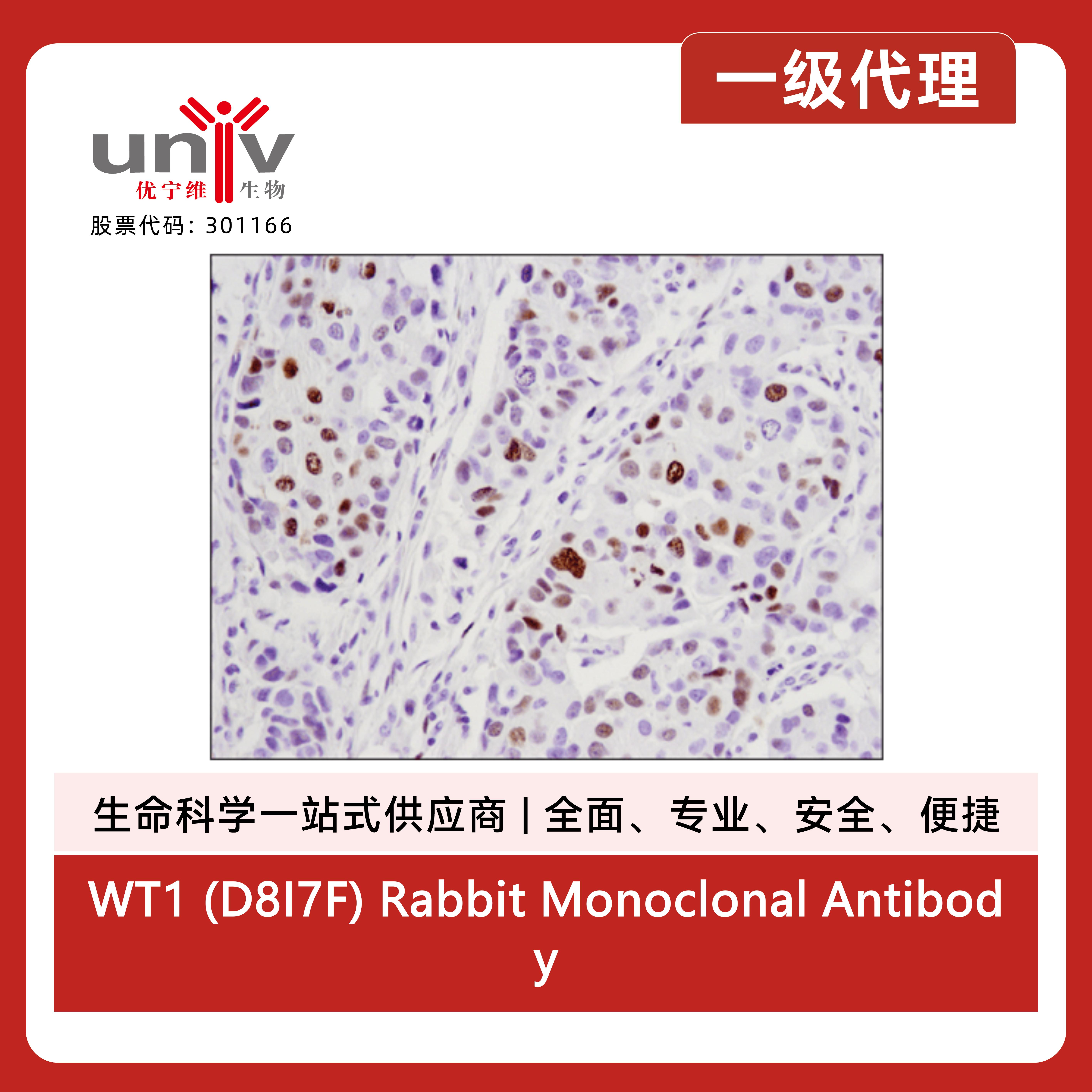 产品细节图片3