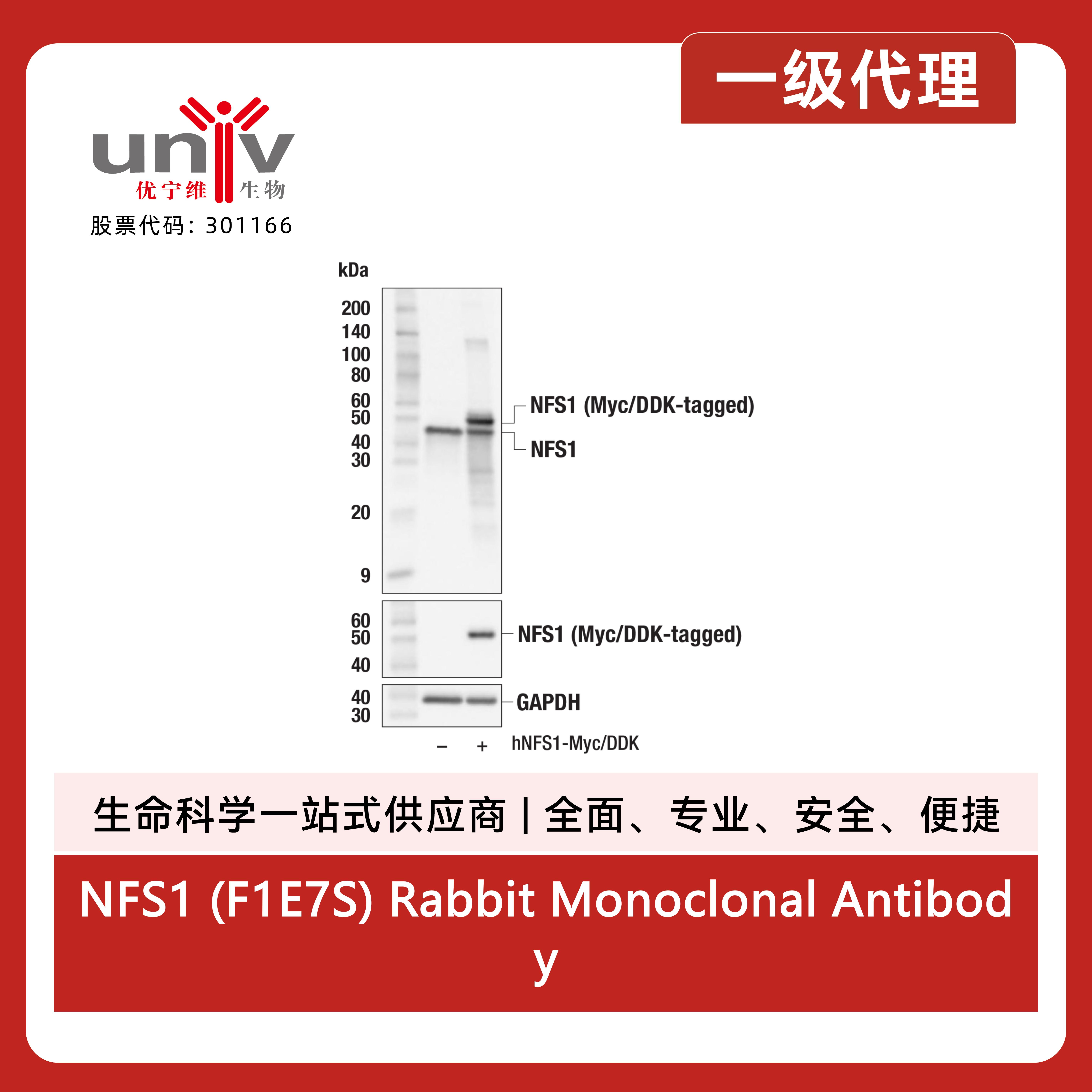 产品细节图片3