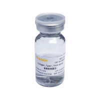 鼠尾Ⅰ型胶原蛋白 Collagen,Type I from rat tail