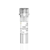 Erlotinib埃罗替尼 EGFR激酶抑制剂(OSI-774,CP-358,774,Ro 50-8231)