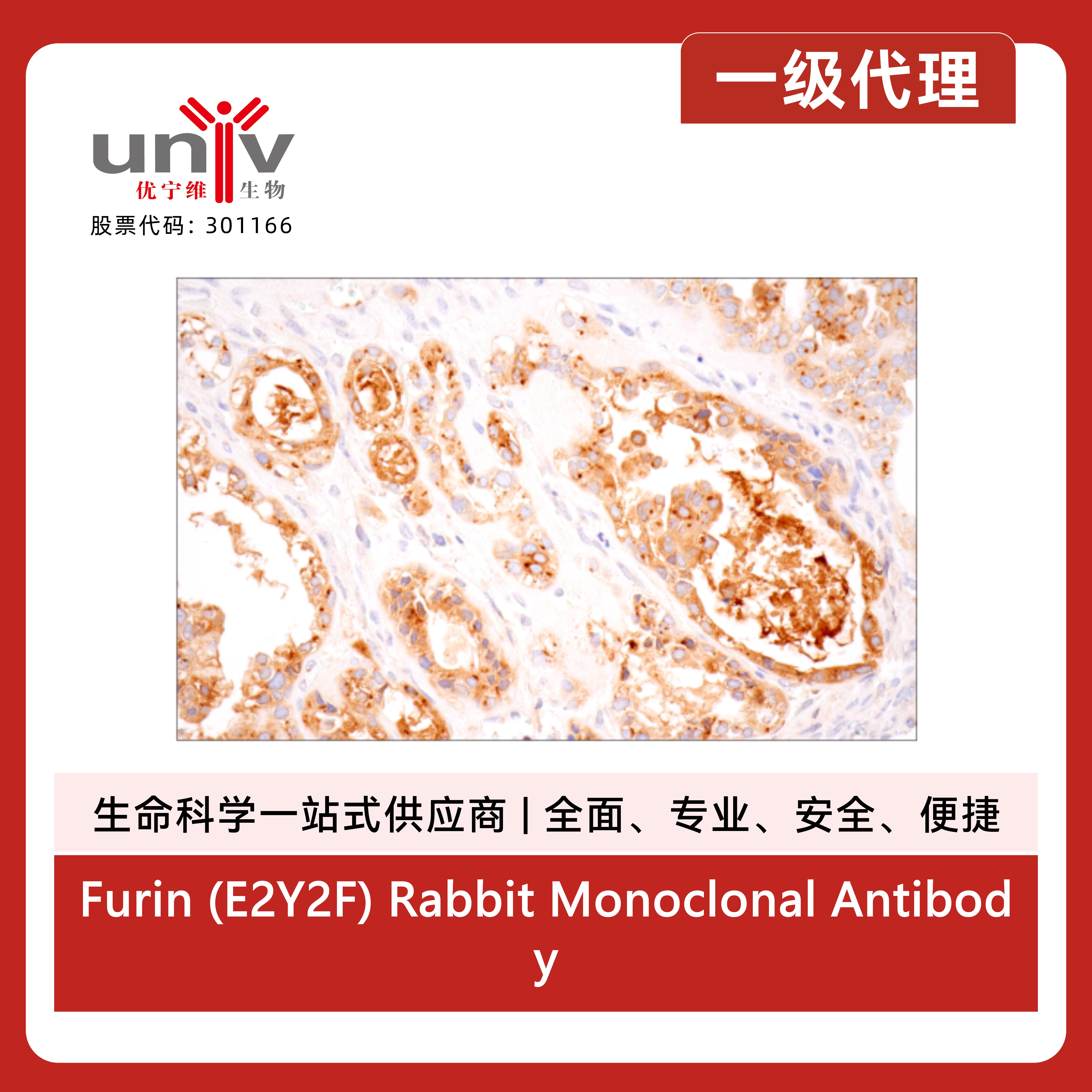 产品细节图片3