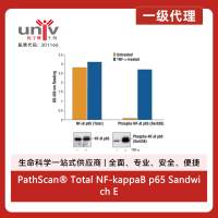 PathScan® Total NF-kappaB p65 Sandwich ELISA Kit
