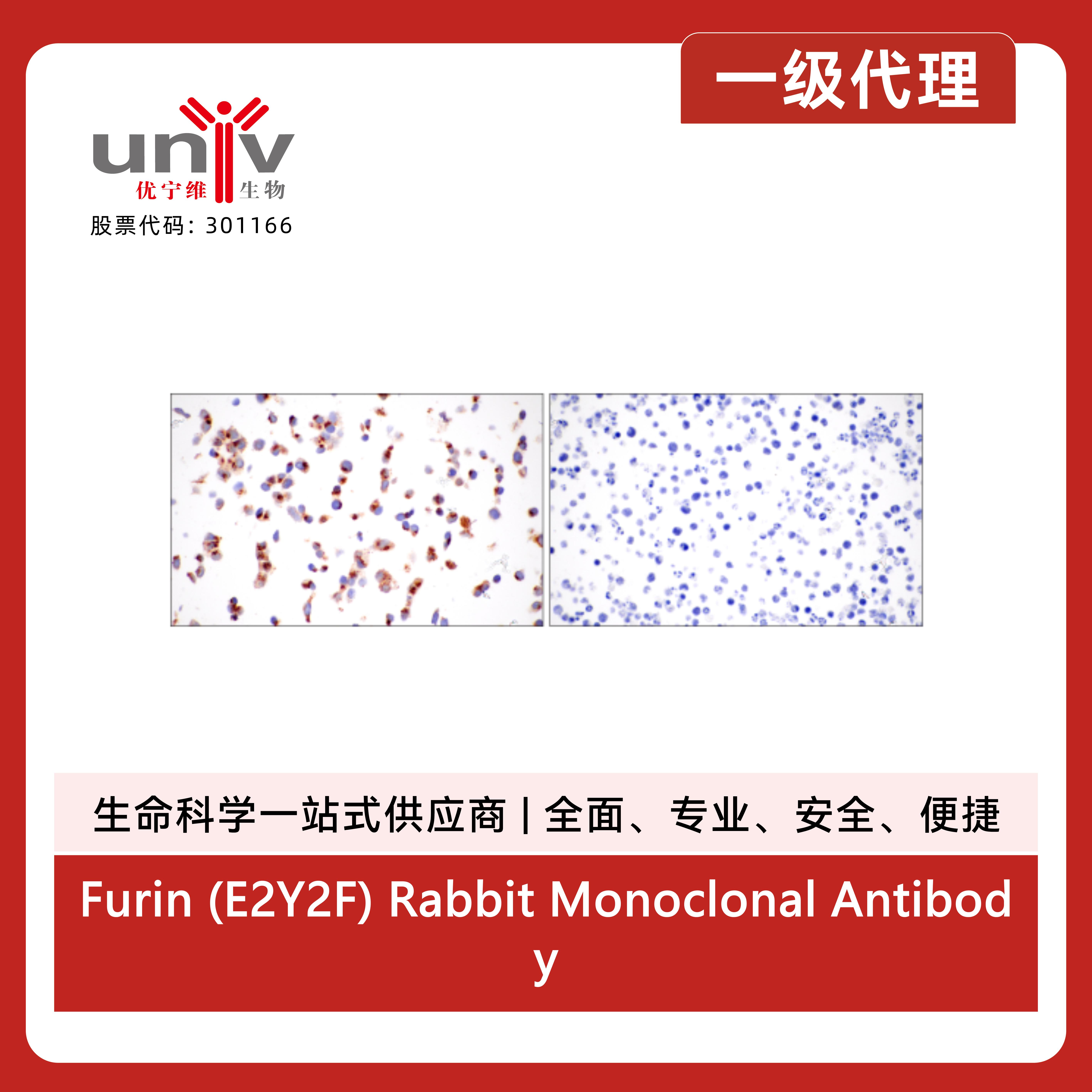 产品细节图片12