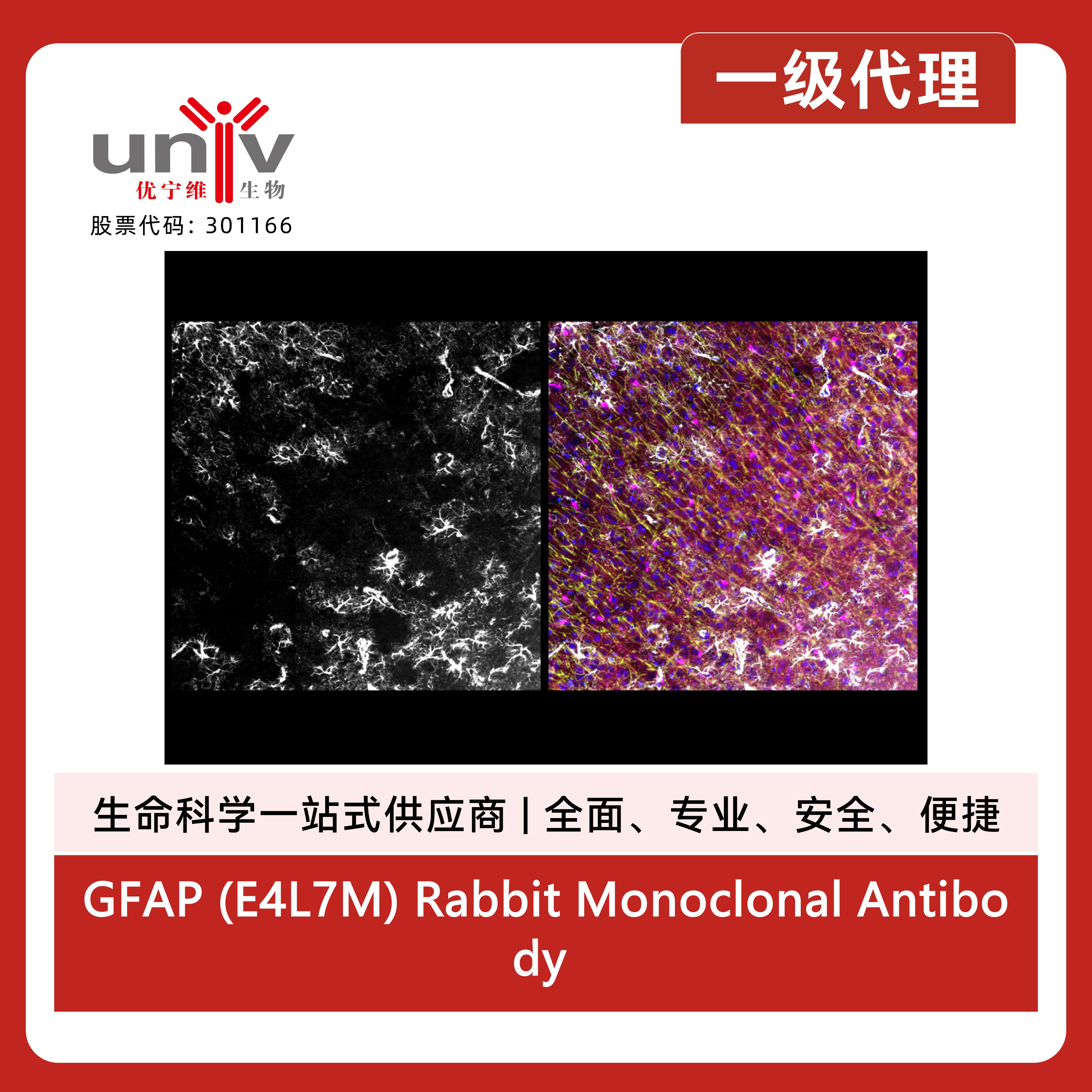产品细节图片4
