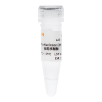 全能核酸酶UltraNuclease(GMP级别)