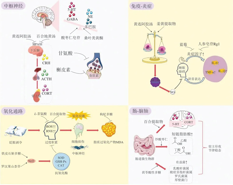 新闻图片3