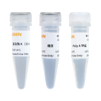 MolPure® 磁珠法残留DNA样本前处理试剂盒(瓶装)