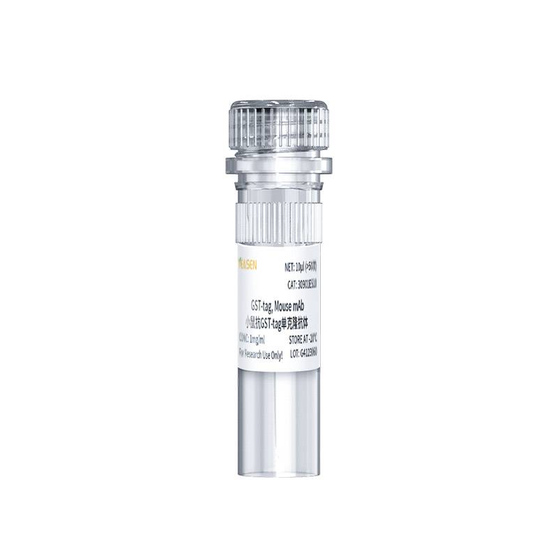 小鼠抗GST-tag单克隆抗体(GST-tag,Mouse mAb)产品图