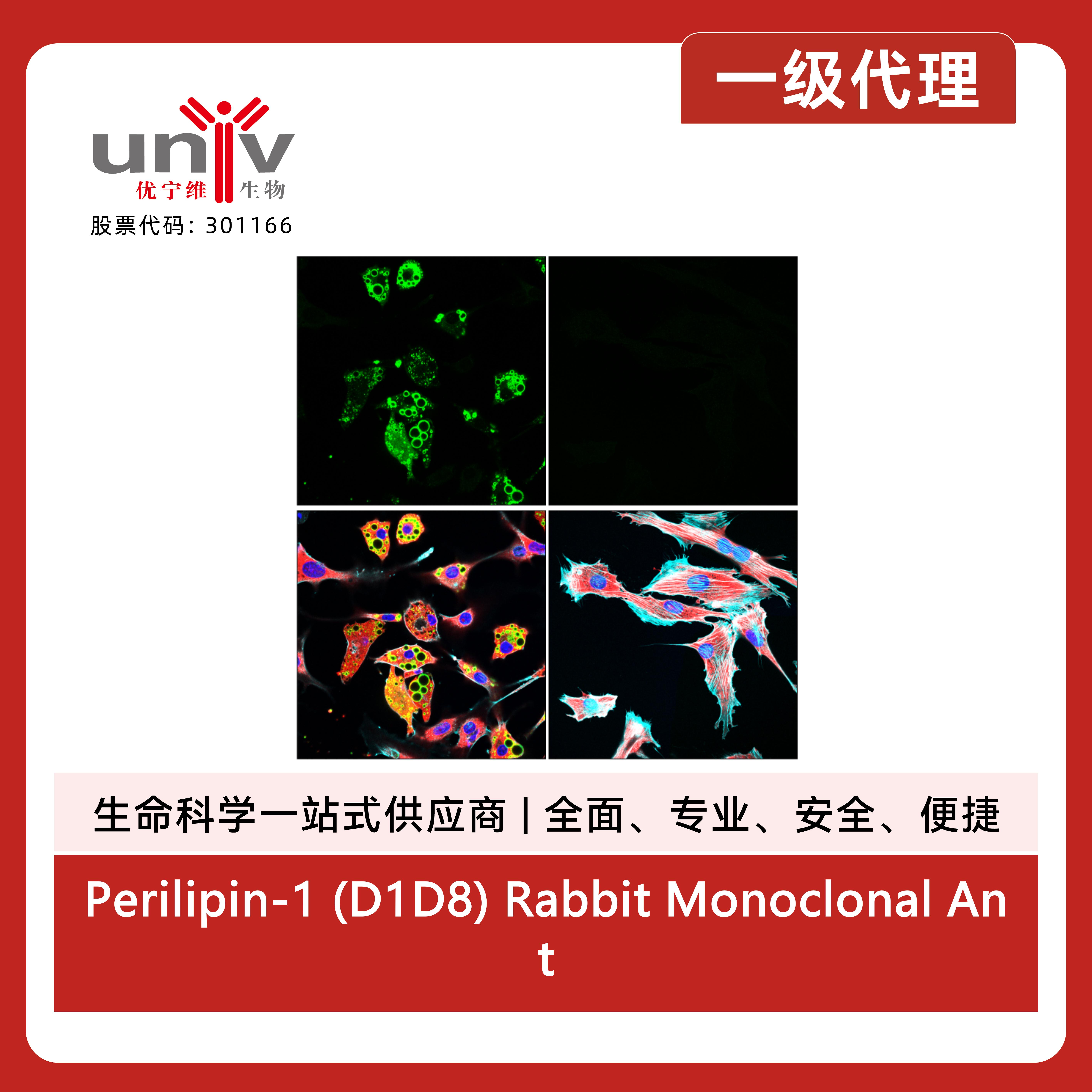 产品细节图片2