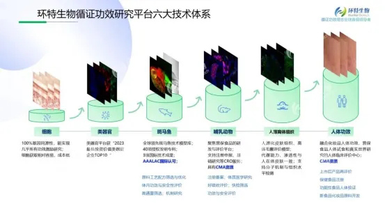 新闻图片10