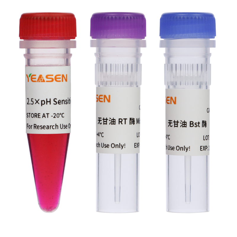 RT-LAMP pH敏感指示剂试剂盒|RT-LAMP pH Sensitive Dyestuff Kit