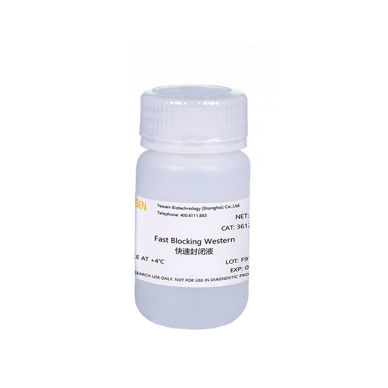 Western Blot 快速封闭液(WB封闭液)