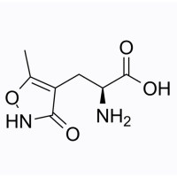 (S)-AMPA,83643-88-3,10mM in Water,阿拉丁