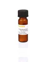 DNase I 牛胰腺脱氧核糖核酸酶I Deoxyribonuclease I from bovine pancreas
