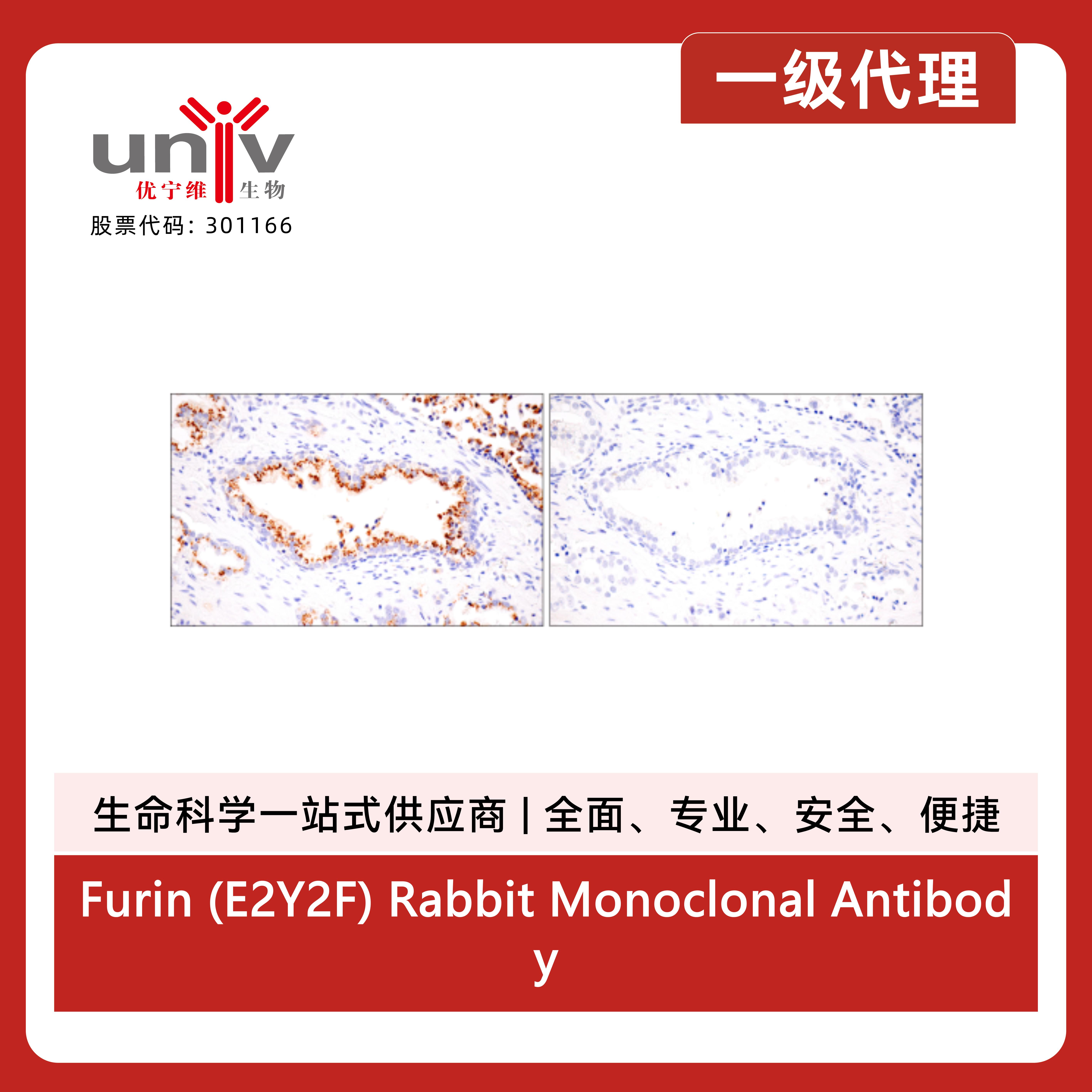 产品细节图片11