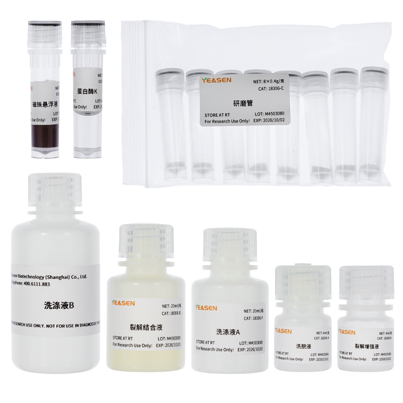 磁珠法病原DNA/RNA提取试剂盒