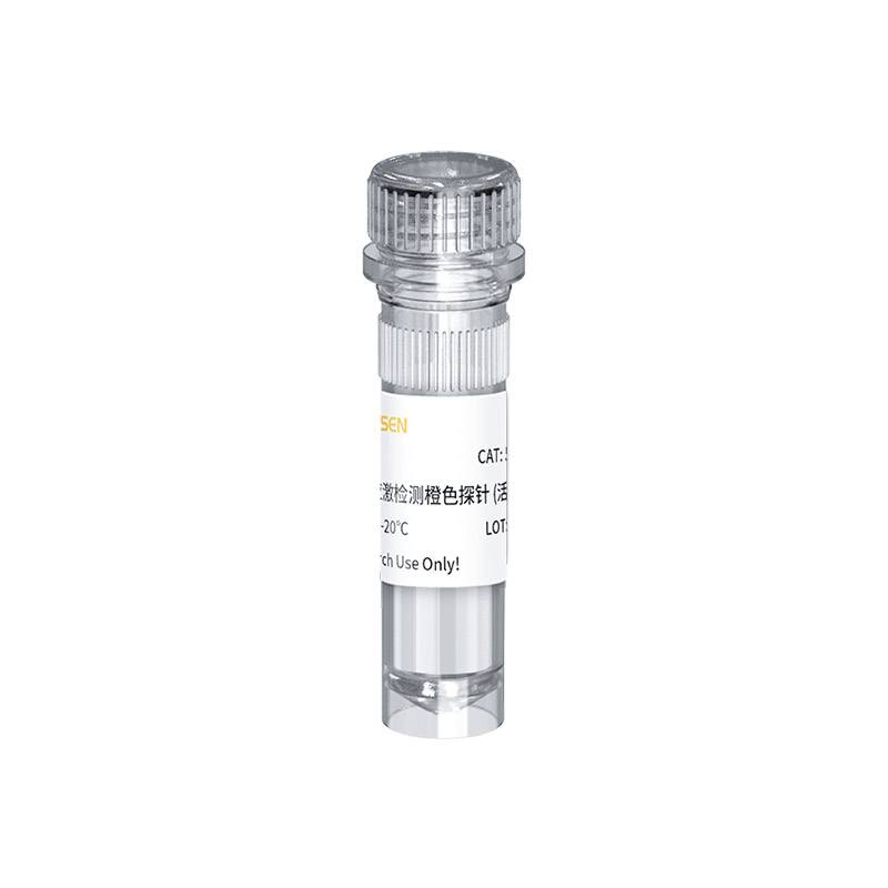 活细胞氧化应激检测橙色探针(CellROX Orange Reagent)产品图