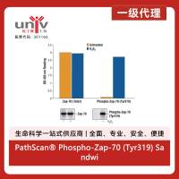 PathScan® Phospho-Zap-70 (Tyr319) Sandwich ELISA Kit