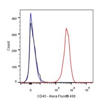 Mouse anti-Rat CD45 Polyclonal Antibody