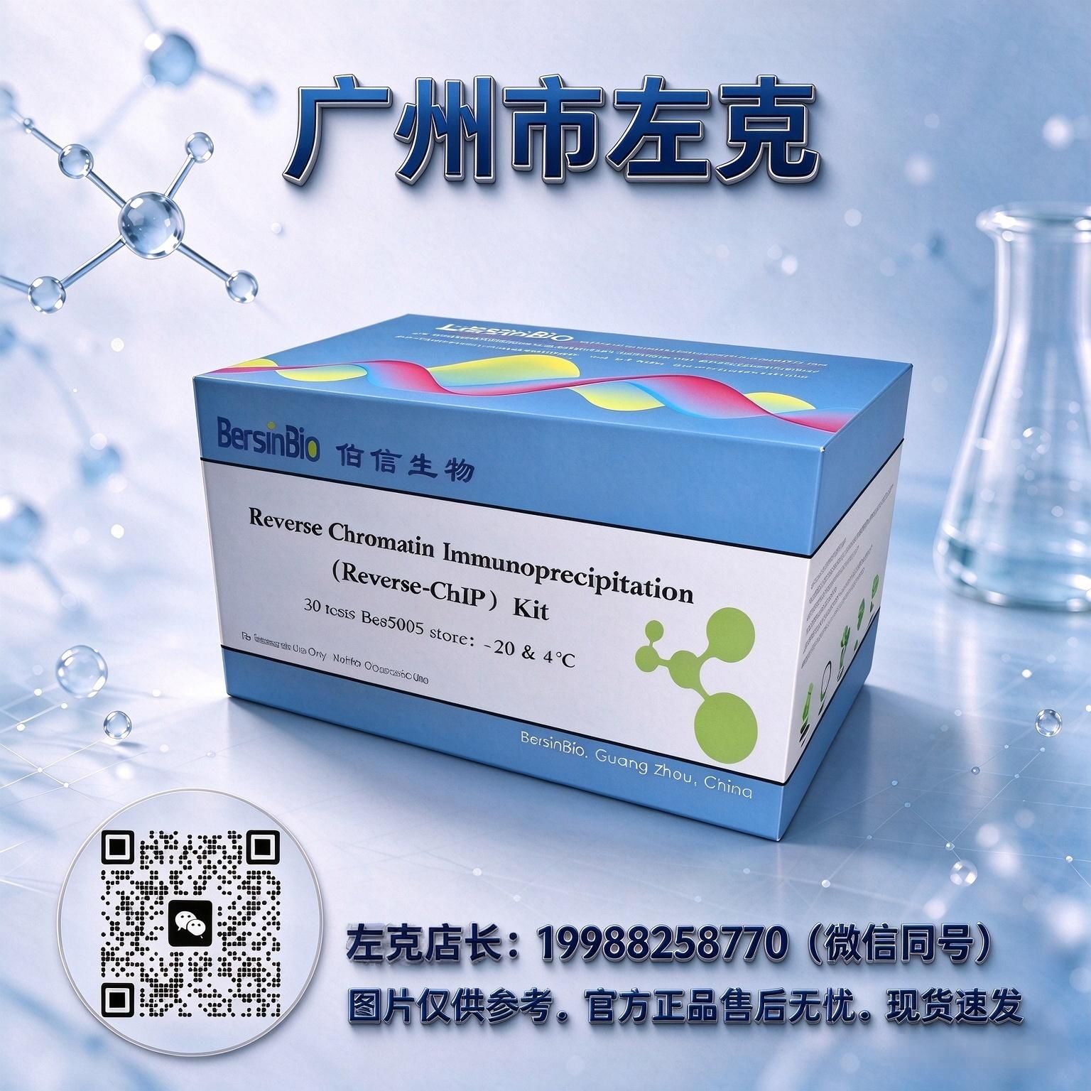 DNA-FISH Kit Bes1011-(N)产品图