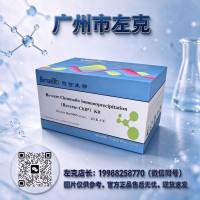 miRNA-pulldown(Protein) Bes5109(S)