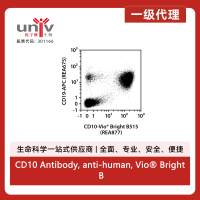 CD10 Antibody, anti-human, Vio® Bright B515, REAfinity™