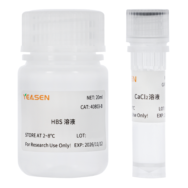 磷酸钙法细胞转染试剂 Calcium Phosphate Cell Transfection Kit产品图