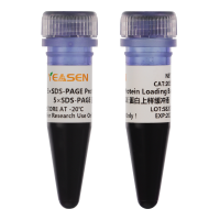 5×SDS-PAGE蛋白上样缓冲液(5×SDS-PAGE Protein Loading Buffer)