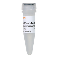 Hieff® Taq酶单克隆抗体(anti-Taq DNA Polymerase Antibody)
