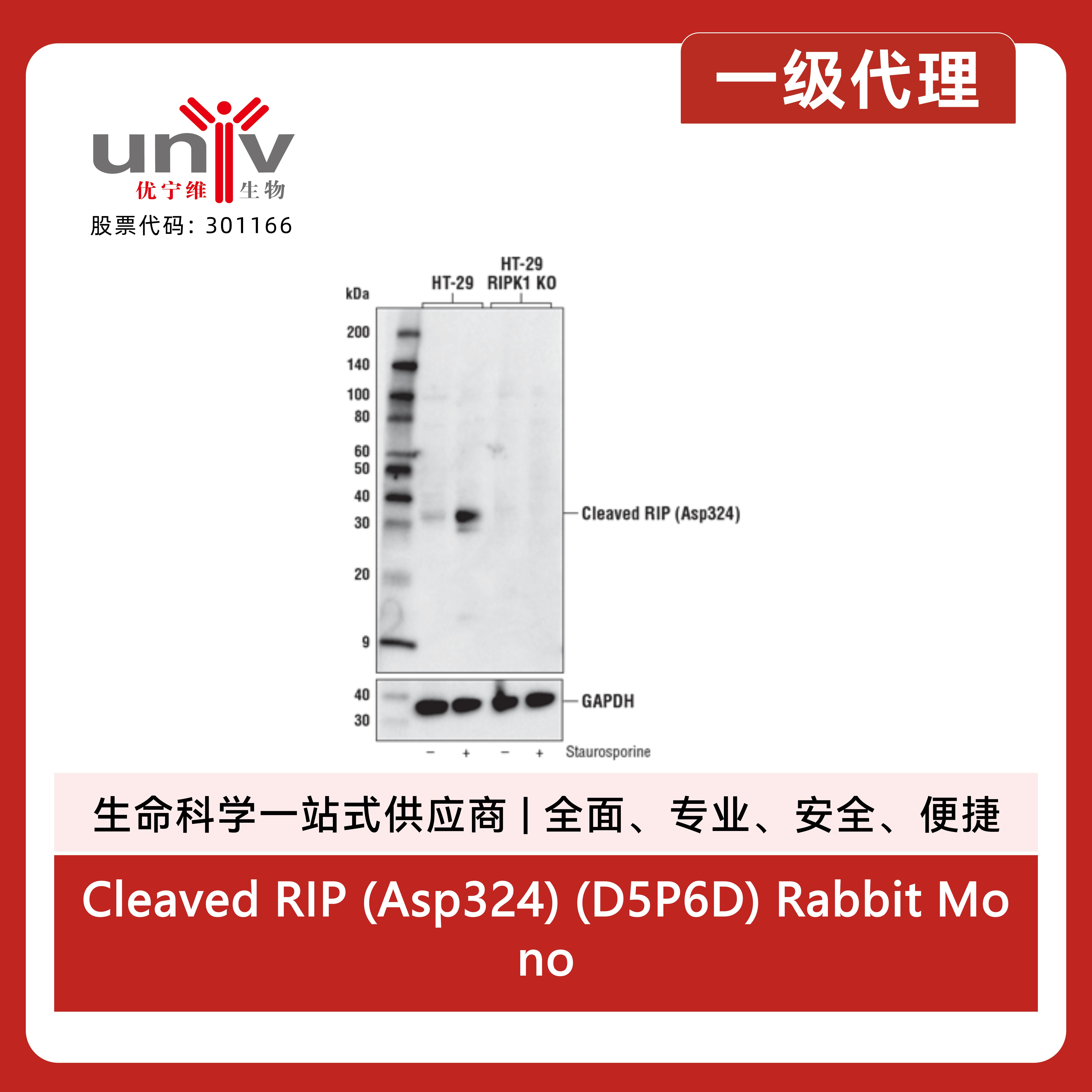 产品细节图片1