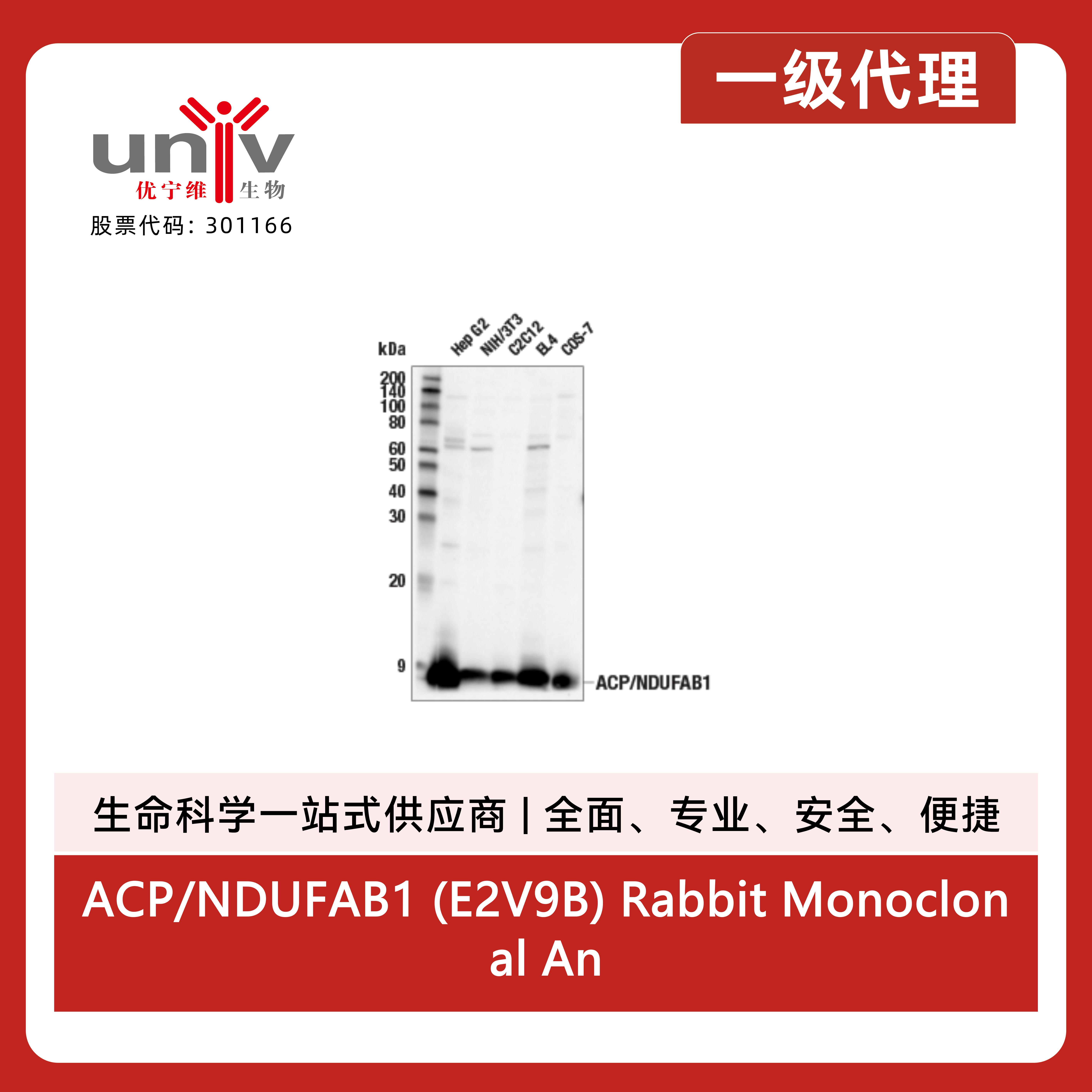 产品细节图片1