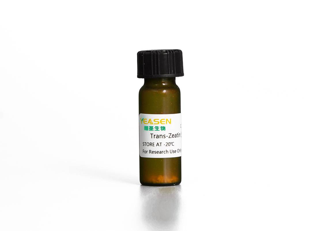 反玉米素Trans-Zeatin