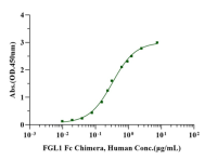 Recombinant Human LAG-3 Protein(His Tag)