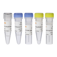 Hieff NGS® Ultima Pro DNA Library Prep Kit for Illumina® V2 全能型DNA建库试剂盒V2