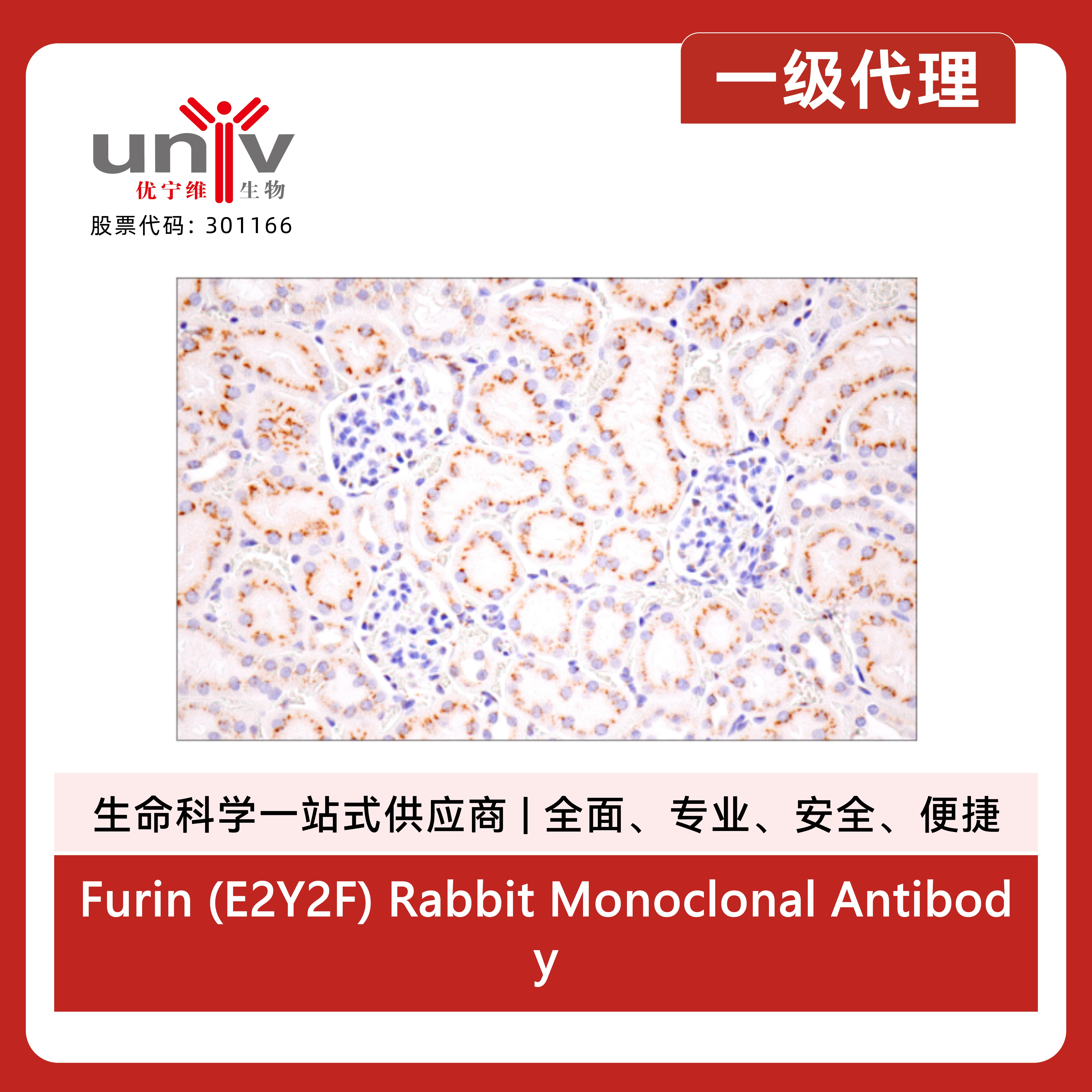 产品细节图片10