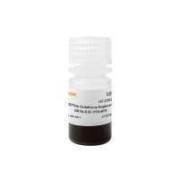 GST标签蛋白纯化磁珠(GSTSep Glutathione MagBeads)