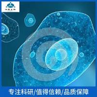 人口腔角质形成细胞