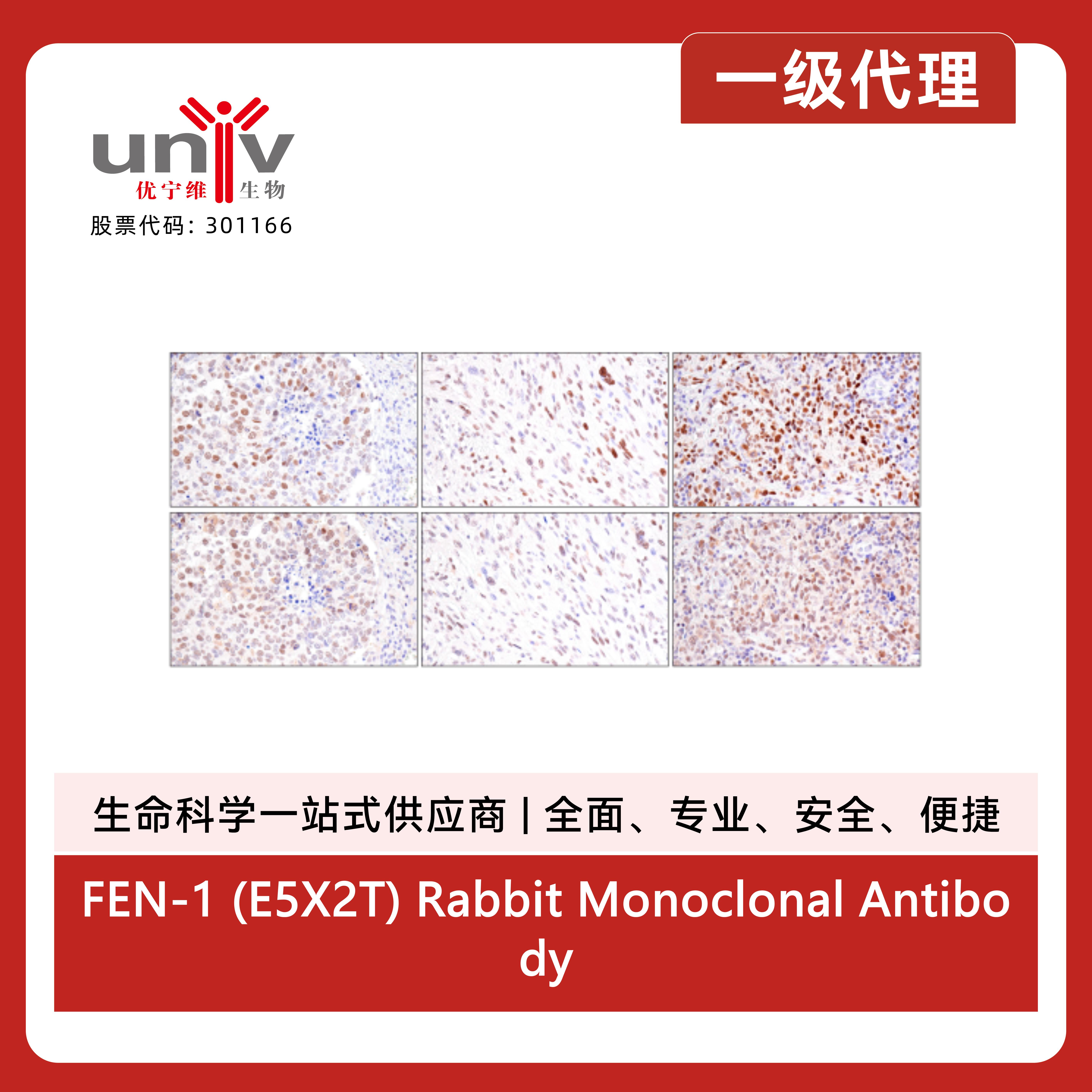 产品细节图片6