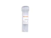 PCR增强剂(PCR Enhancer)