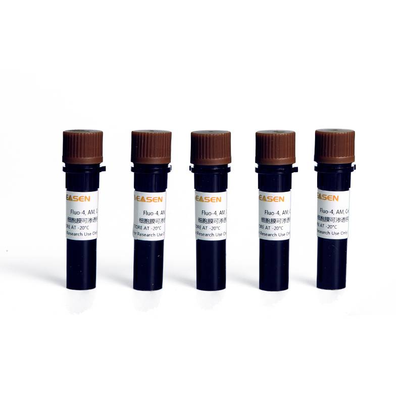 Fluo-4,AM钙离子荧光探针(Fluo-4,AM,Cell Permeant)产品图
