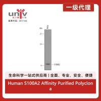 Human S100A2 Affinity Purified Polyclonal Ab (100 ug)
