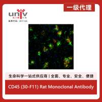 CD45 (30-F11) Rat Monoclonal Antibody